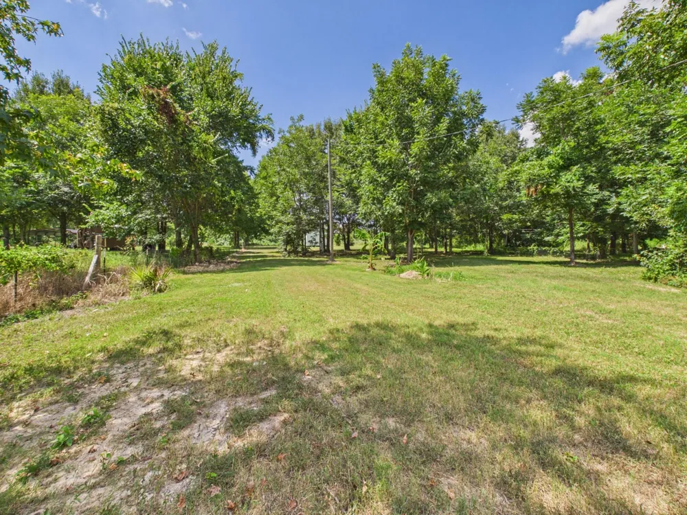 282 Route 66 Livingston, TX 77351