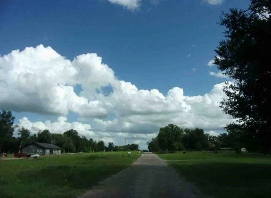 115 Cr 681 Teague, TX 75860