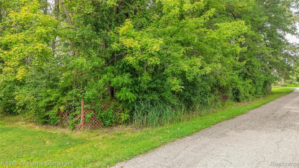 259 William Street Clay Township, MI 48028