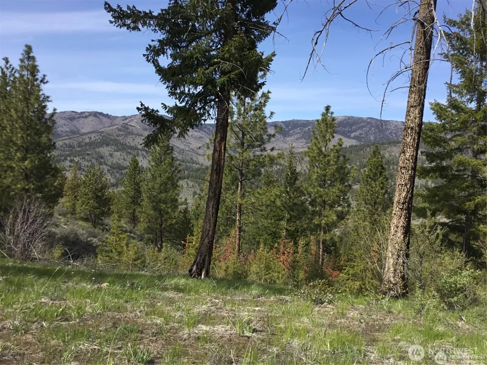 0 Ivan Morse Road Manson, WA 98831