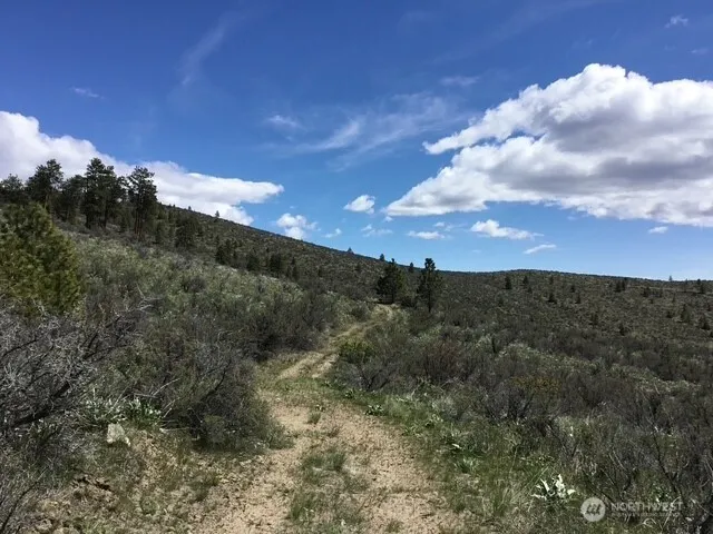 0 Ivan Morse Road Manson, WA 98831