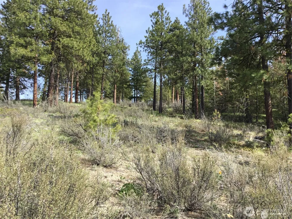 0 Ivan Morse Road Manson, WA 98831
