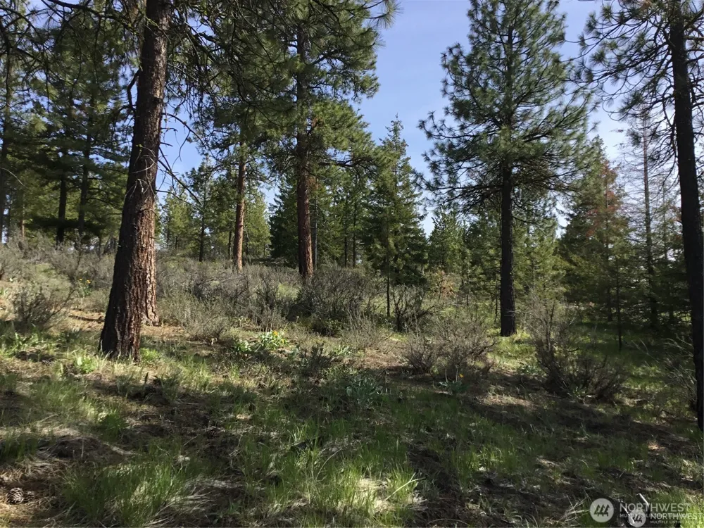 0 Ivan Morse Road Manson, WA 98831