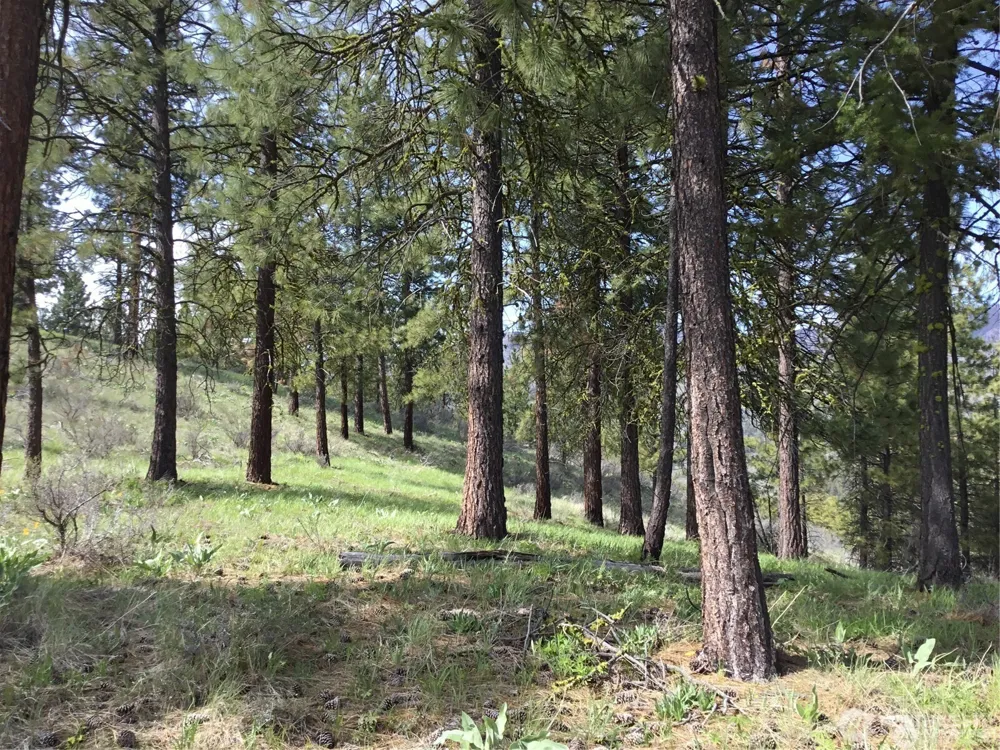 0 Ivan Morse Road Manson, WA 98831