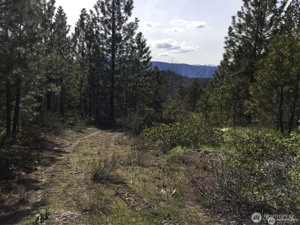 0 Ivan Morse Road Manson, WA 98831