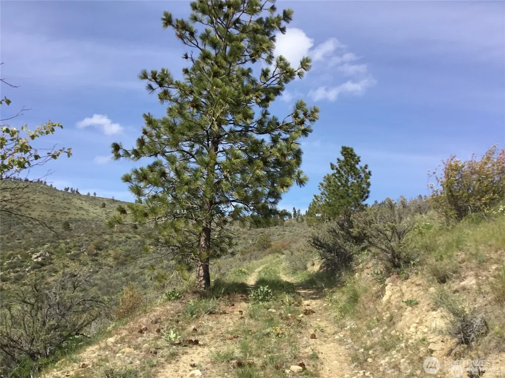 0 Ivan Morse Road Manson, WA 98831