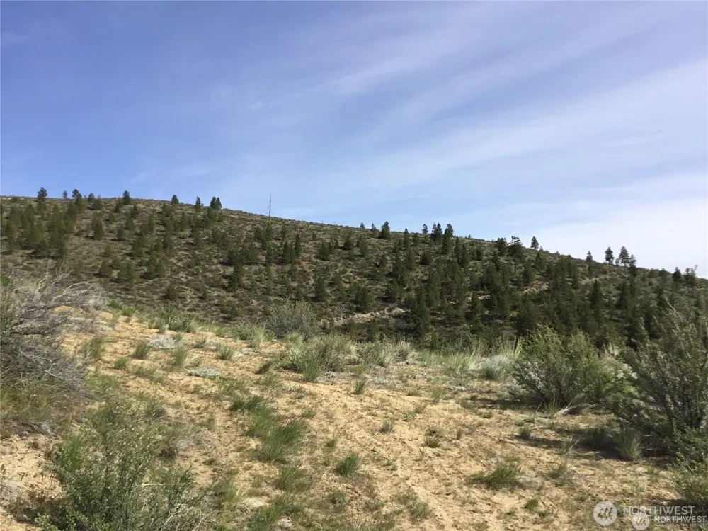 0 Ivan Morse Road Manson, WA 98831