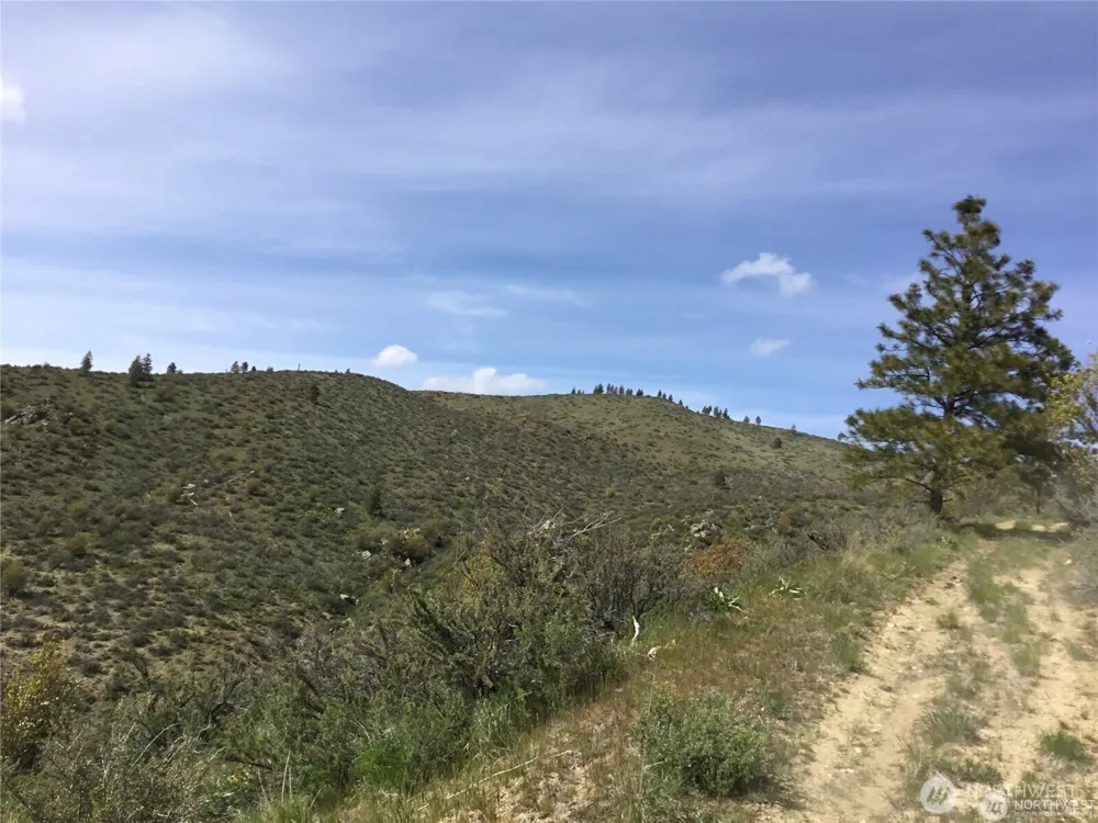 0 Ivan Morse Road Manson, WA 98831