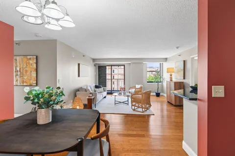 401 S 1st Street #423