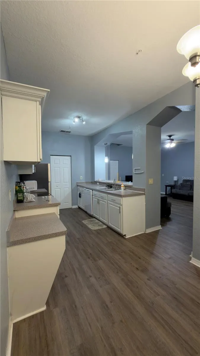 5031 SUNRIDGE PALMS DRIVE Tampa, FL 33617