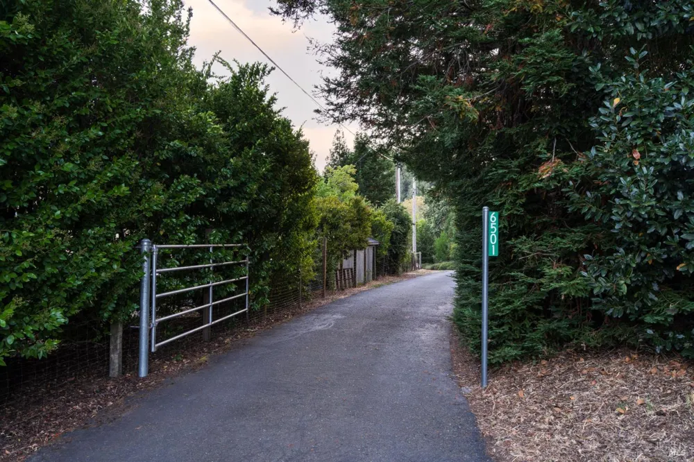 6501 Ellen Lane Forestville, CA 95436