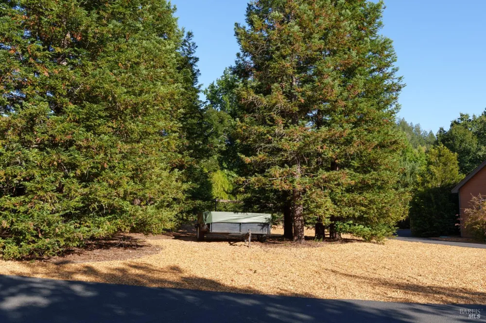 6501 Ellen Lane Forestville, CA 95436