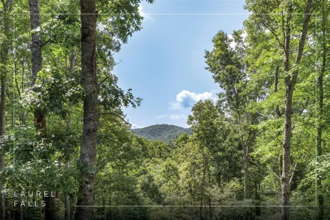 122 Forestdale Drive