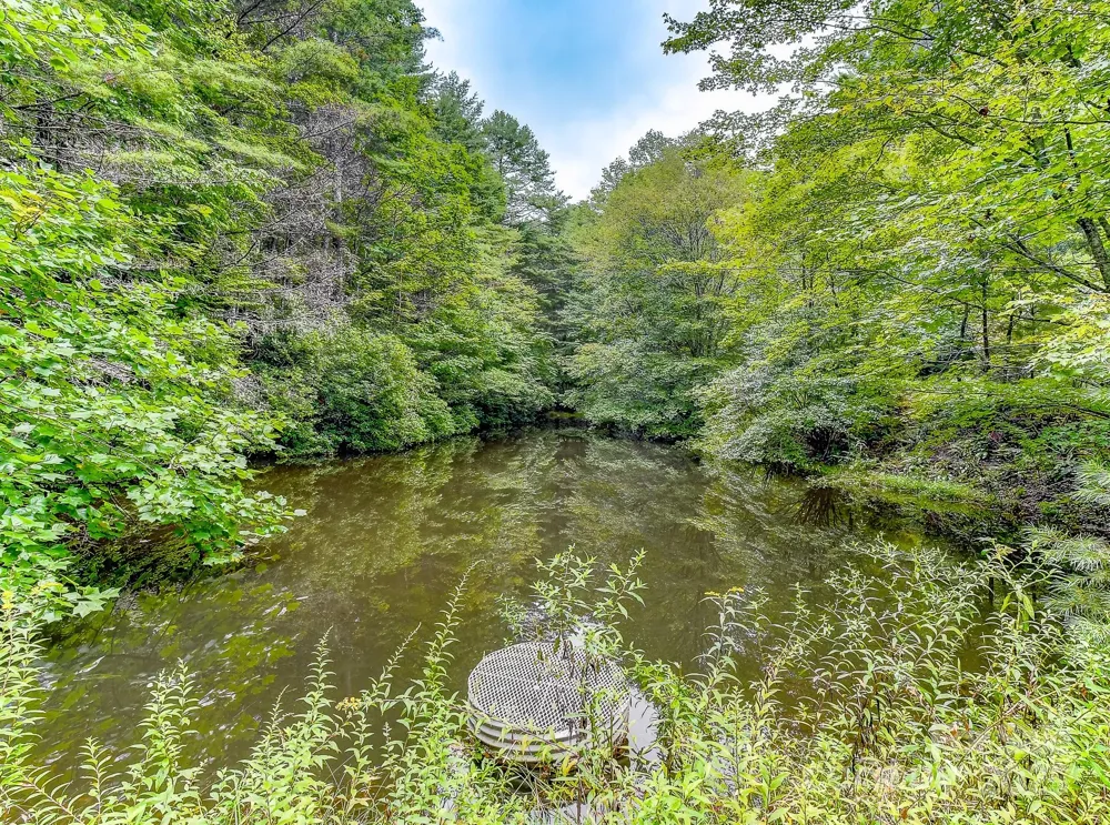 99999 Thunder Road Brevard, NC 28712