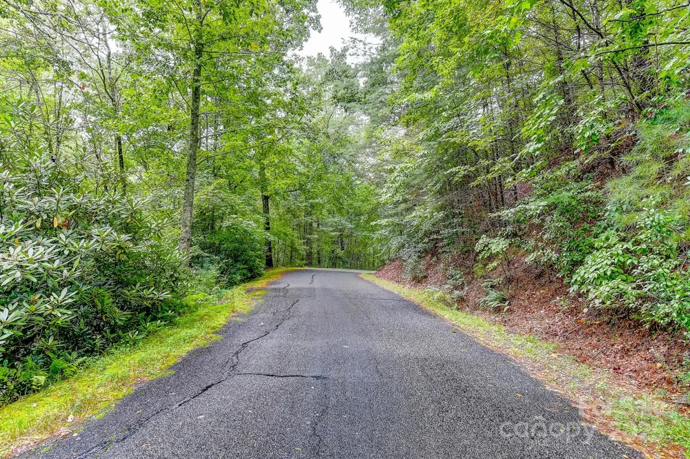 99999 Thunder Road Brevard, NC 28712