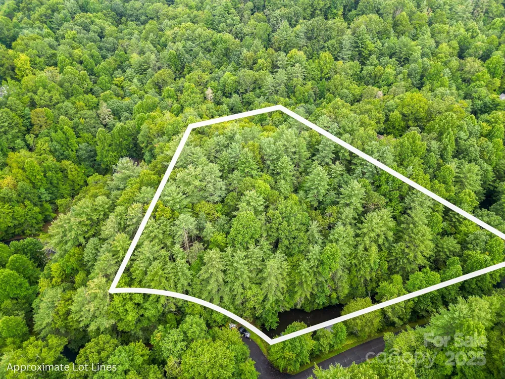 99999 Thunder Road Brevard, NC 28712