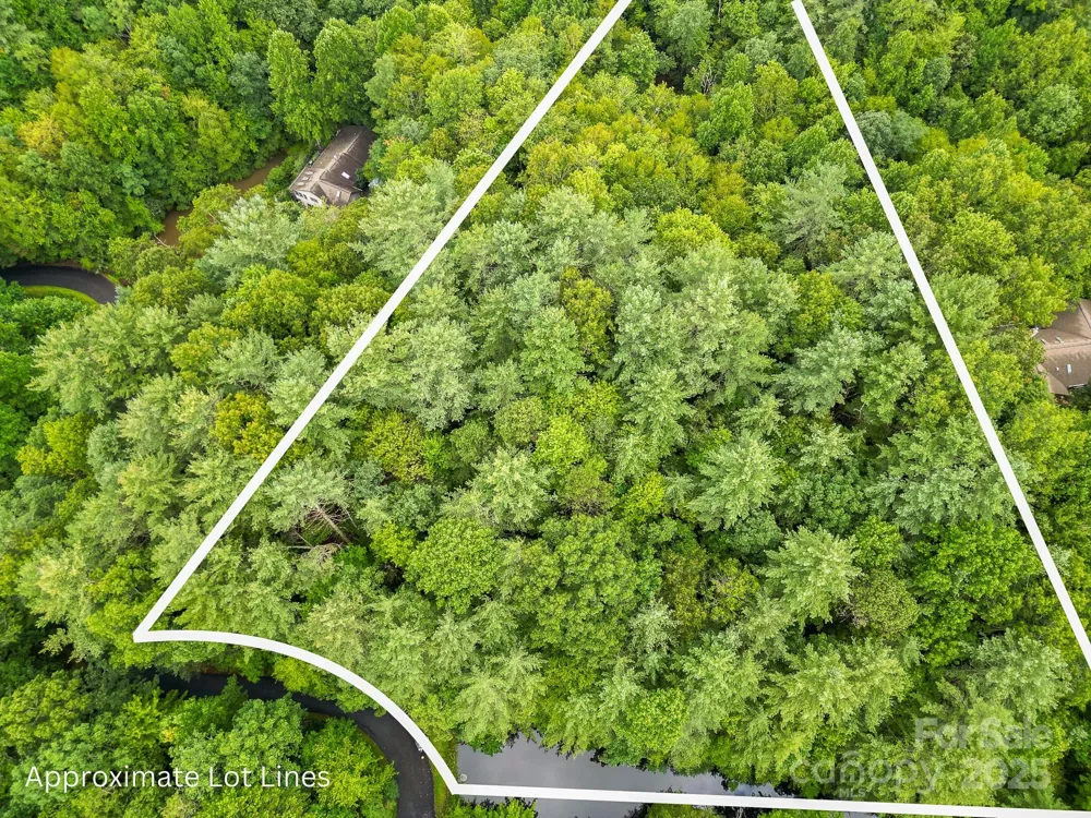 99999 Thunder Road Brevard, NC 28712