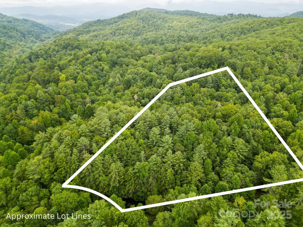 99999 Thunder Road Brevard, NC 28712