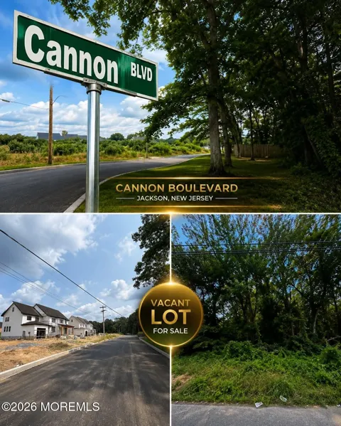 Cannon Boulevard