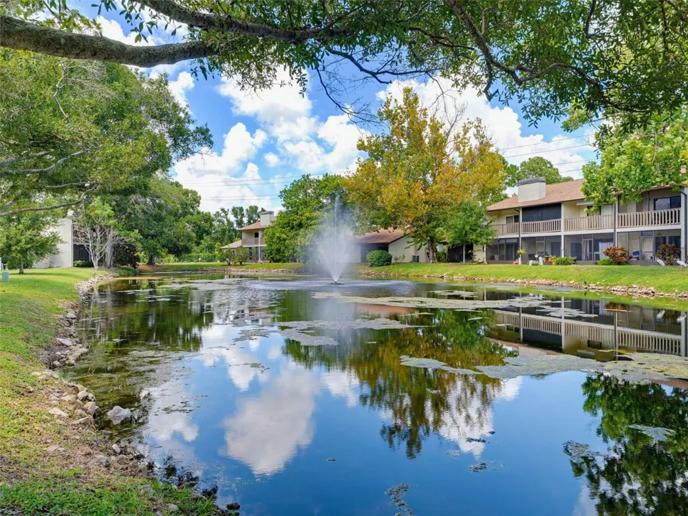 1929 WHITNEY WAY Clearwater, FL 33760