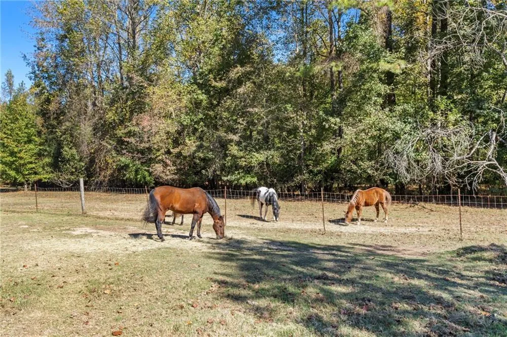 7790 Atlanta Newnan Road Chattahoochee Hills, GA 30268