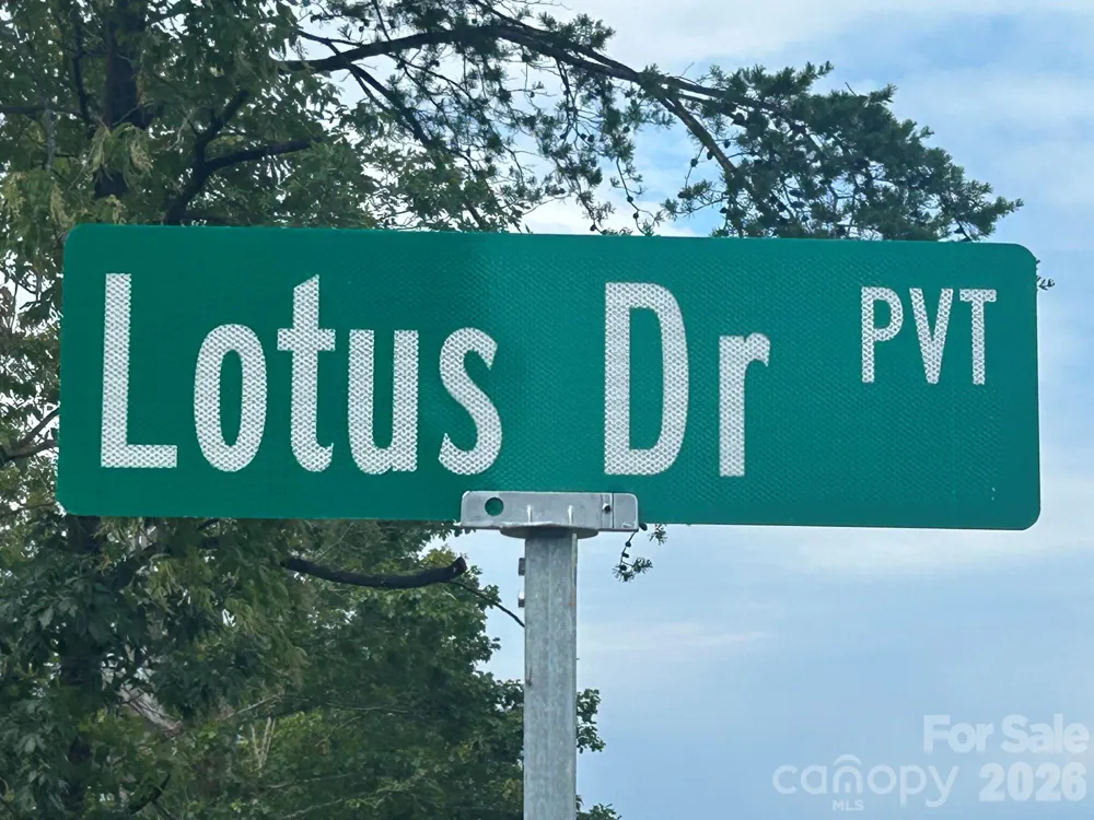 V/L Lotus Drive #19 Nebo, NC 28761