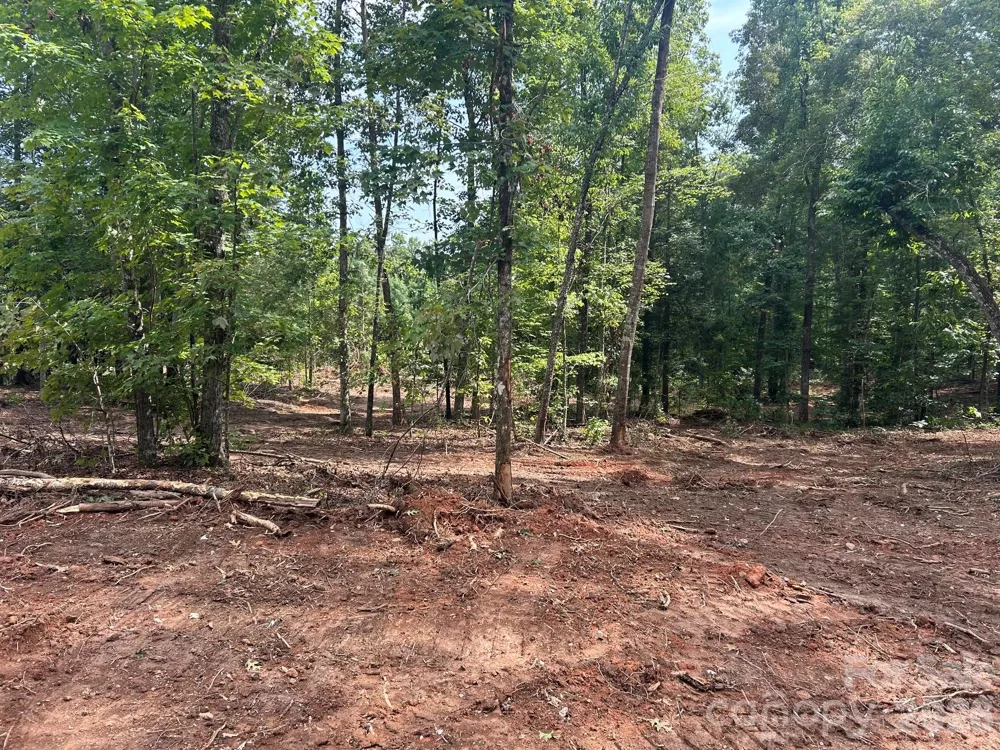V/L Lotus Drive #19 Nebo, NC 28761