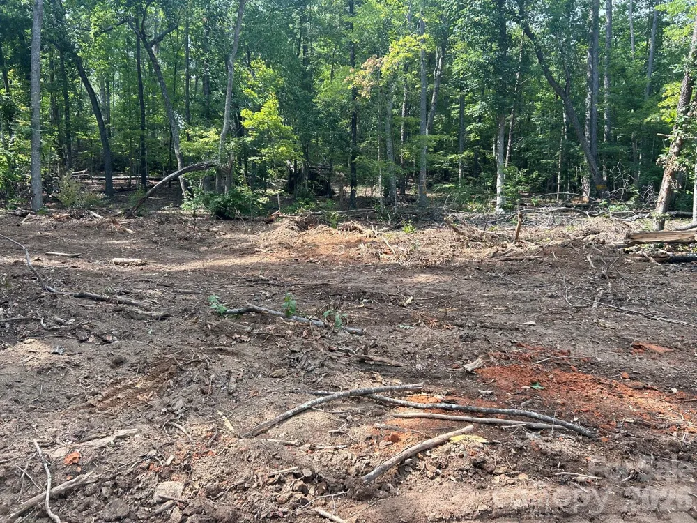 V/L Lotus Drive #19 Nebo, NC 28761