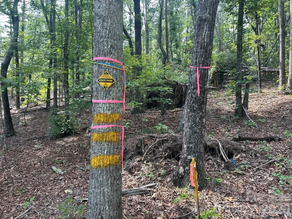 V/L Lotus Drive #19 Nebo, NC 28761