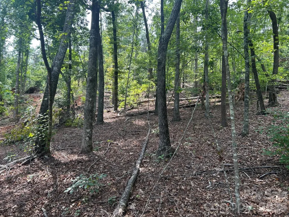 V/L Lotus Drive #19 Nebo, NC 28761