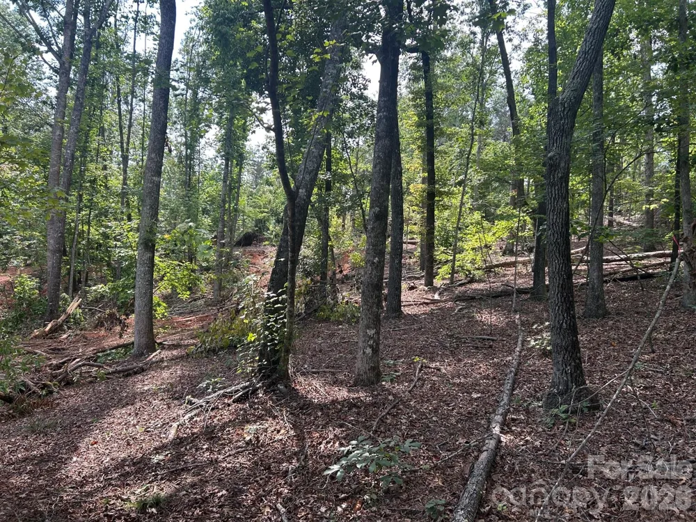 V/L Lotus Drive #19 Nebo, NC 28761