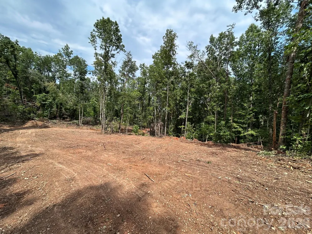 V/L Lotus Drive #19 Nebo, NC 28761