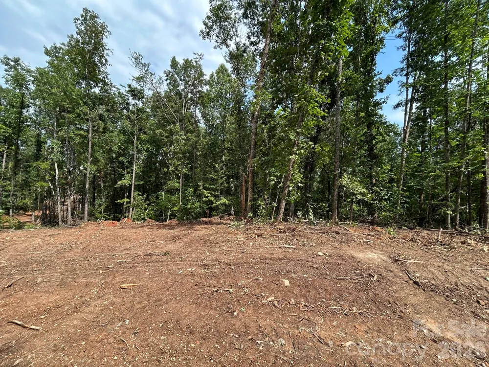 V/L Lotus Drive #19 Nebo, NC 28761