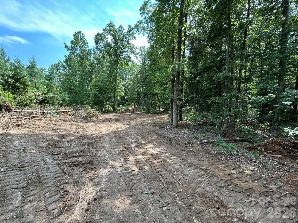 V/L Lotus Drive #19 Nebo, NC 28761