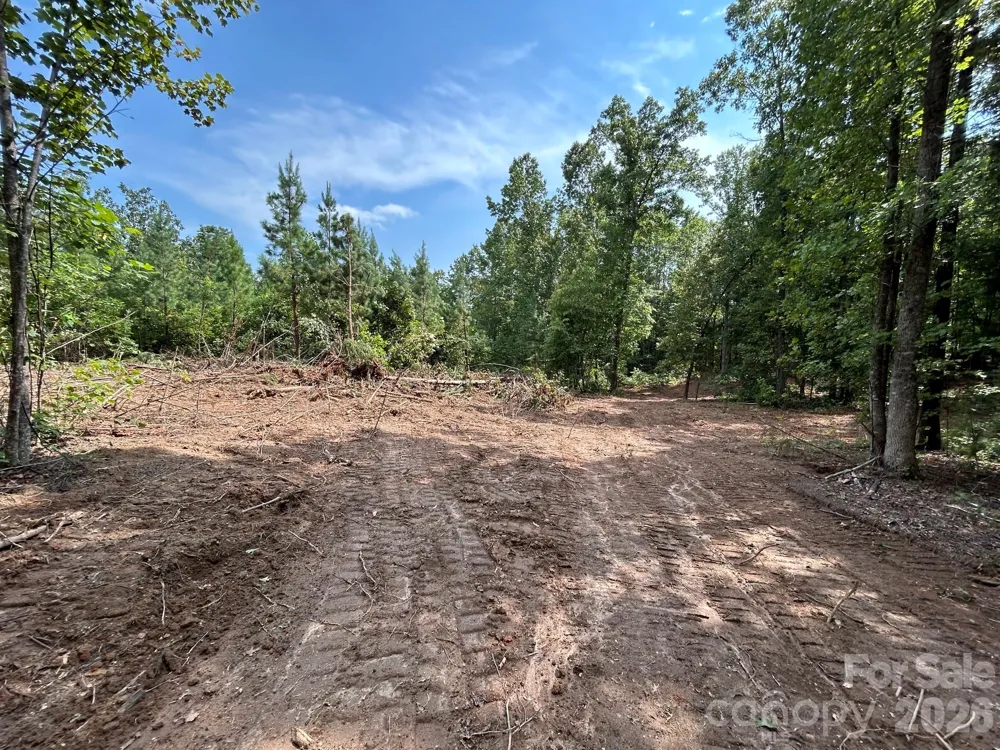 V/L Lotus Drive #19 Nebo, NC 28761