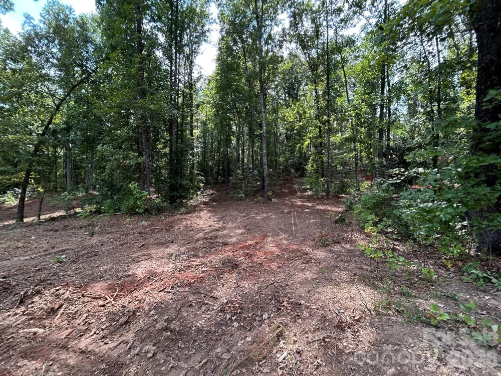 V/L Lotus Drive #19 Nebo, NC 28761