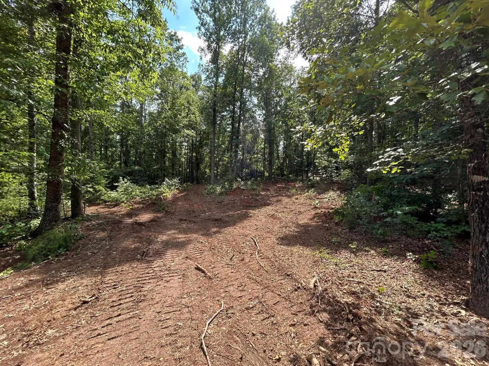 V/L Lotus Drive #19 Nebo, NC 28761