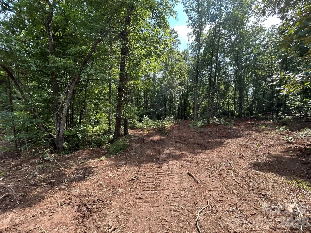 V/L Lotus Drive #19 Nebo, NC 28761