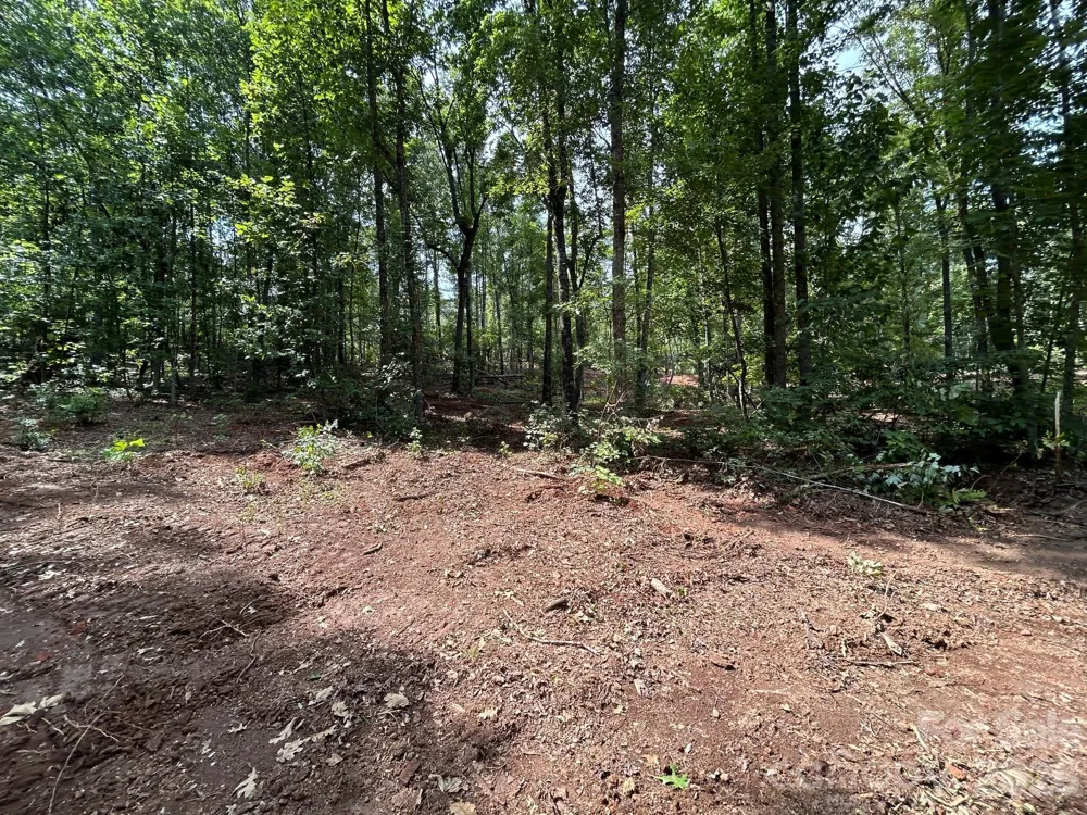 V/L Lotus Drive #19 Nebo, NC 28761