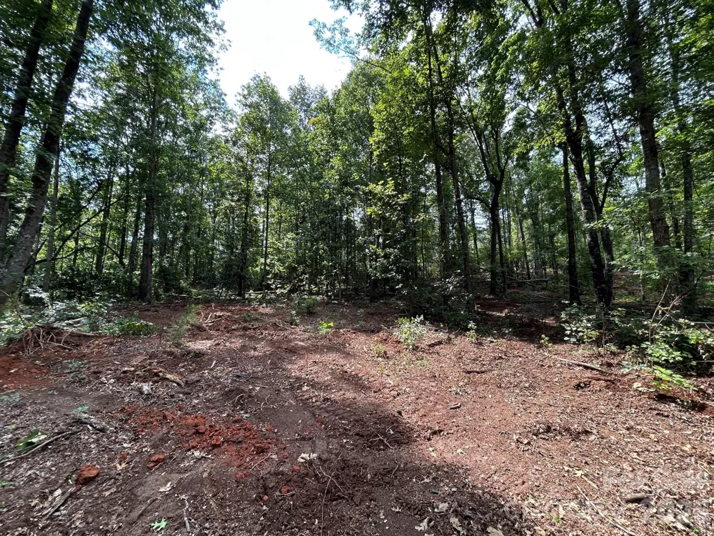 V/L Lotus Drive #19 Nebo, NC 28761