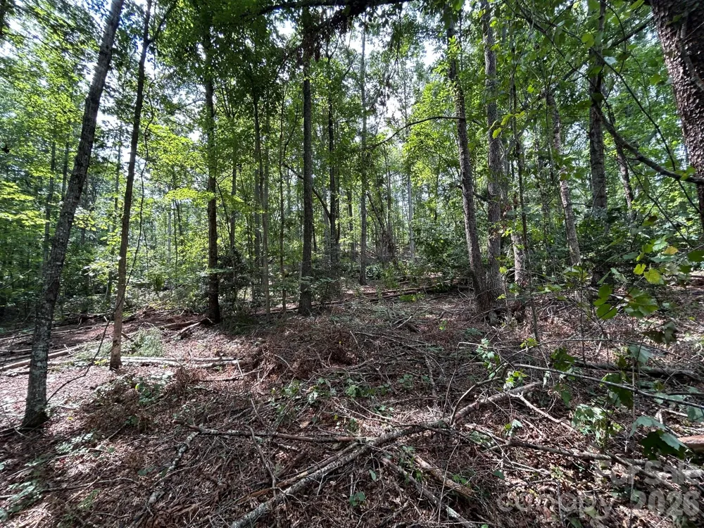 V/L Lotus Drive #19 Nebo, NC 28761