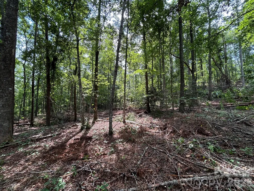 V/L Lotus Drive #19 Nebo, NC 28761