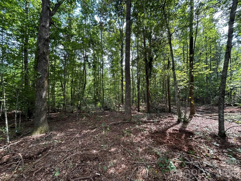 V/L Lotus Drive #19 Nebo, NC 28761