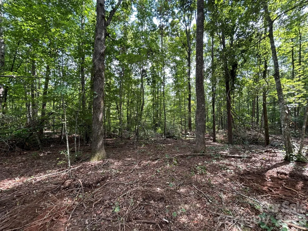 V/L Lotus Drive #19 Nebo, NC 28761