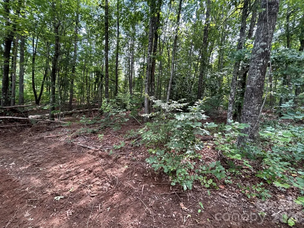 V/L Lotus Drive #19 Nebo, NC 28761