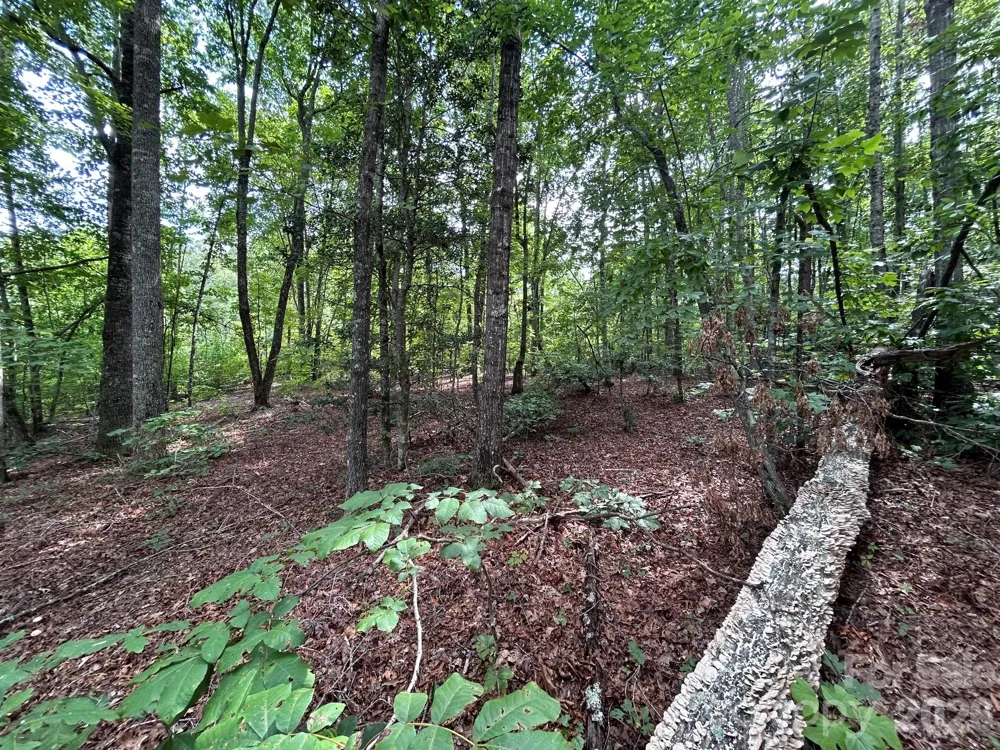 V/L Lotus Drive #19 Nebo, NC 28761