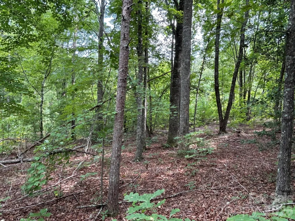 V/L Lotus Drive #19 Nebo, NC 28761