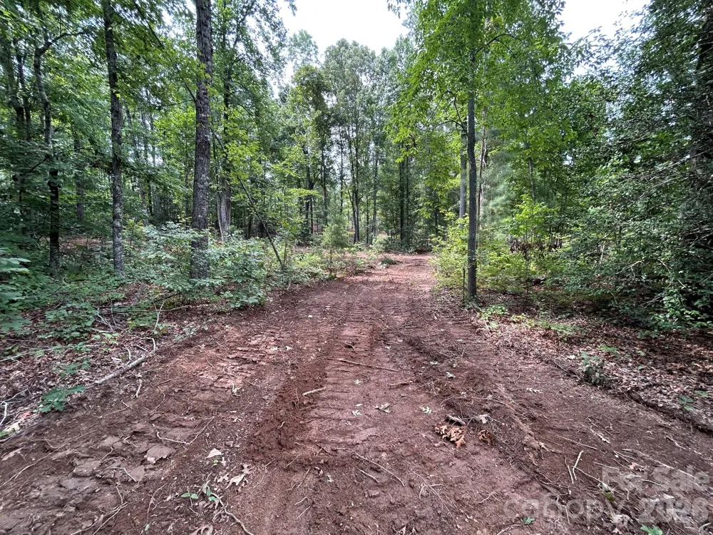 V/L Lotus Drive #19 Nebo, NC 28761