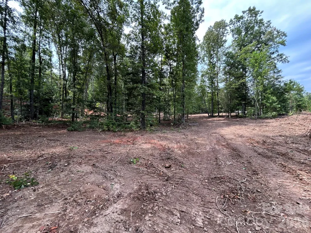 V/L Lotus Drive #19 Nebo, NC 28761