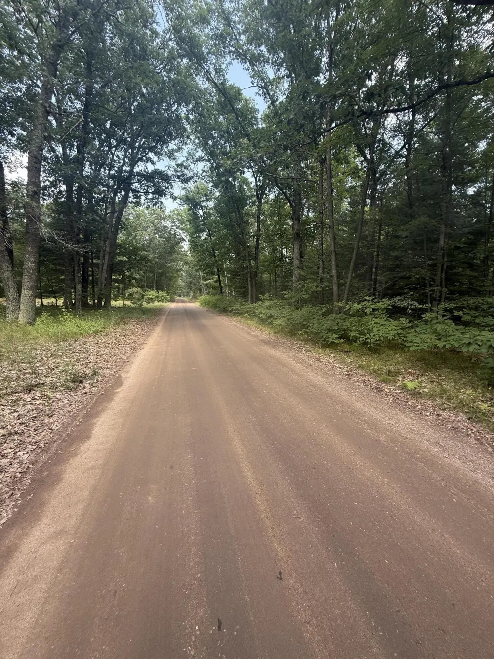 12th Avenue Bitely, MI 49309